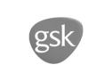 Gsk-min_1Gsk-min
